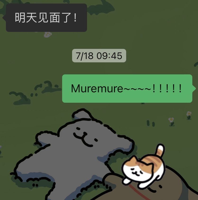 image-20240909144353691