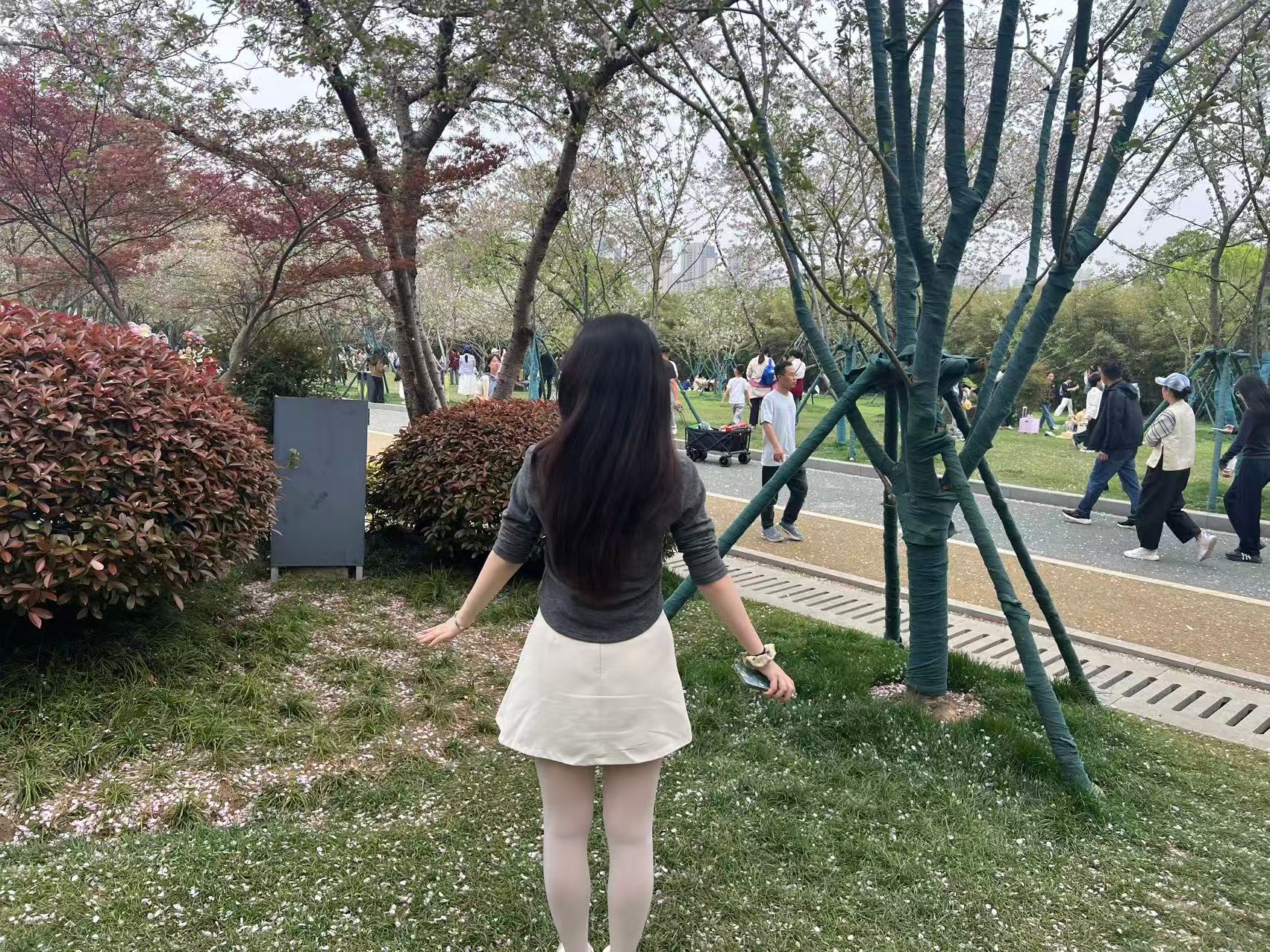 拥抱春天