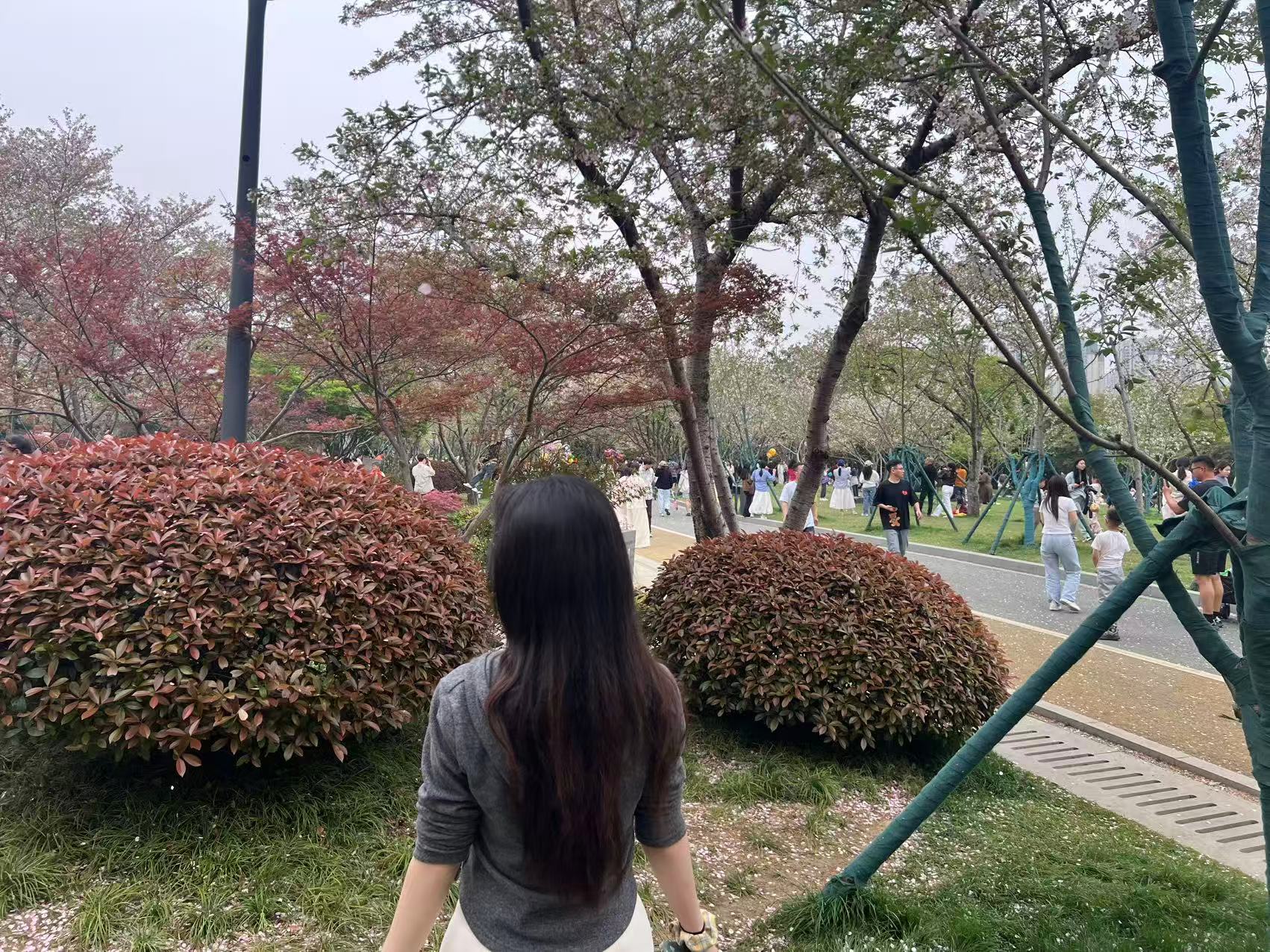 背影赏花