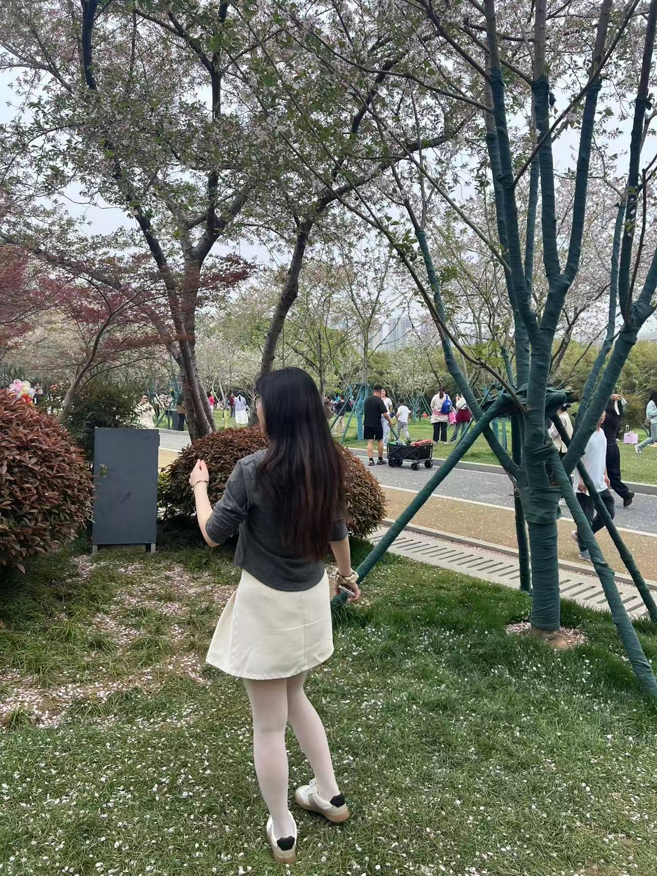 草坪漫步